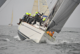 animal gbr1952l kip 13 130511 4989